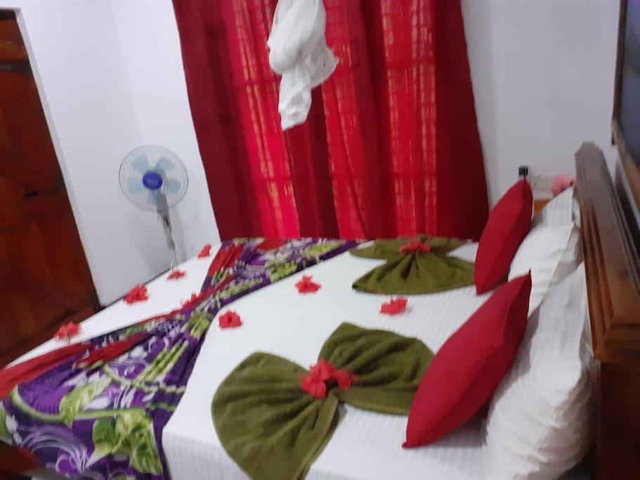 Sigiriya Village Home Stay Luaran gambar