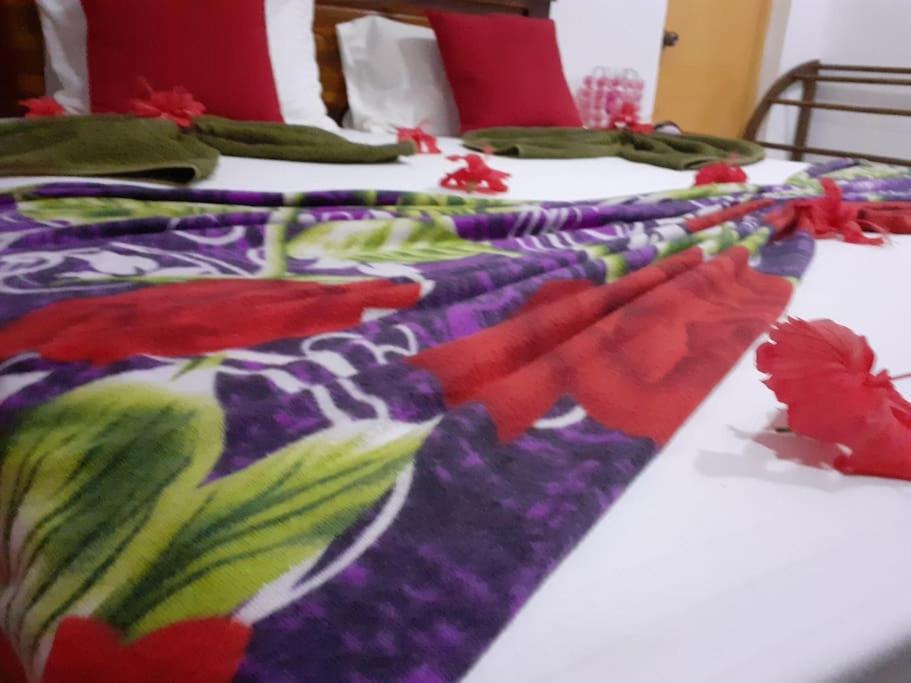 Sigiriya Village Home Stay Luaran gambar